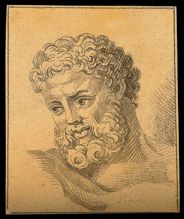 The head of Hercules. Drawing, c. 1792.