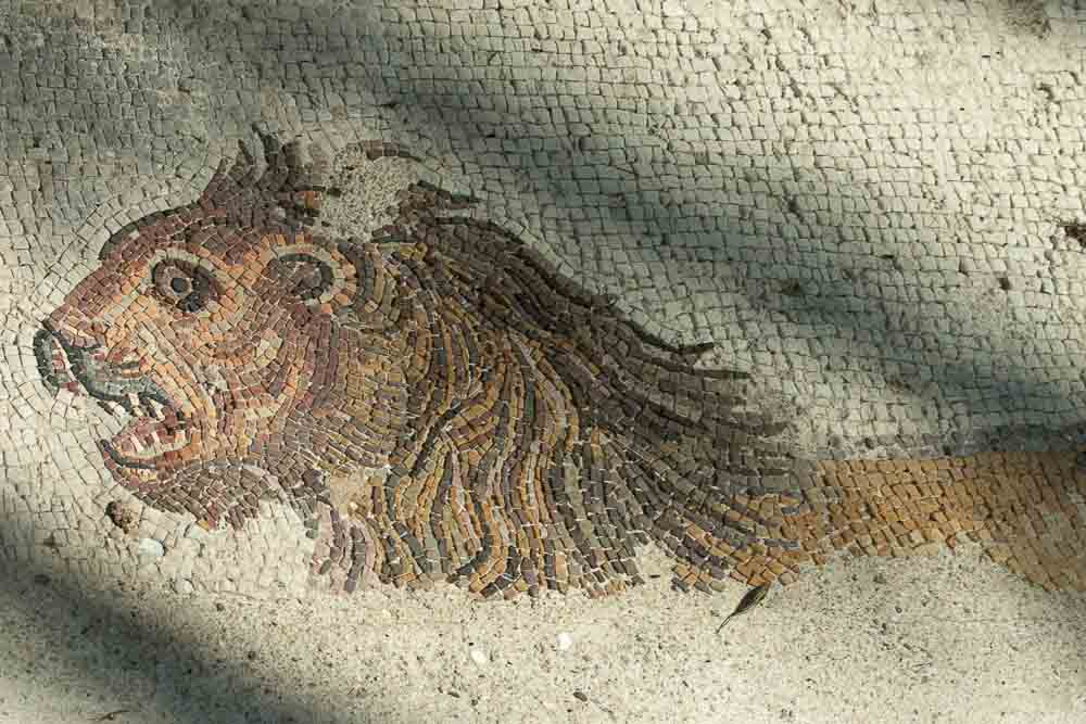 Nemean Lion from a 3rd century CE mosaic. Archaeological Museum of Paros, Lapidarium.